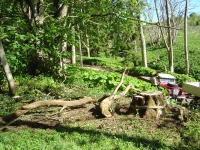 30th May 2009 009